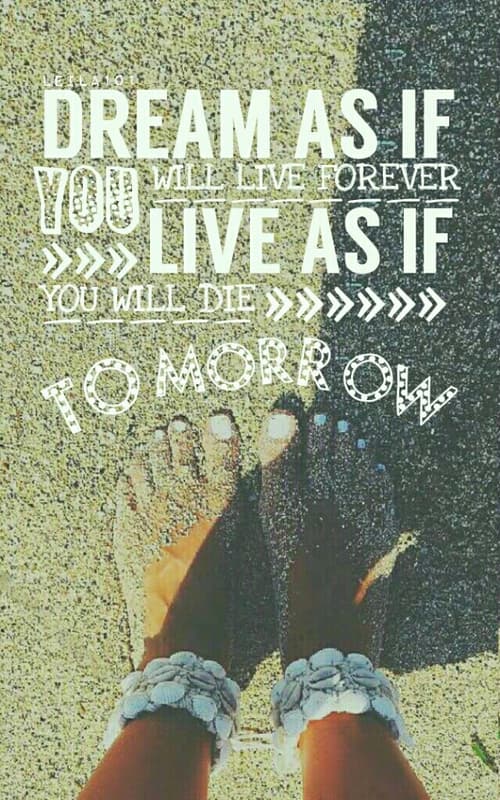 500×800-3 – PicCollage